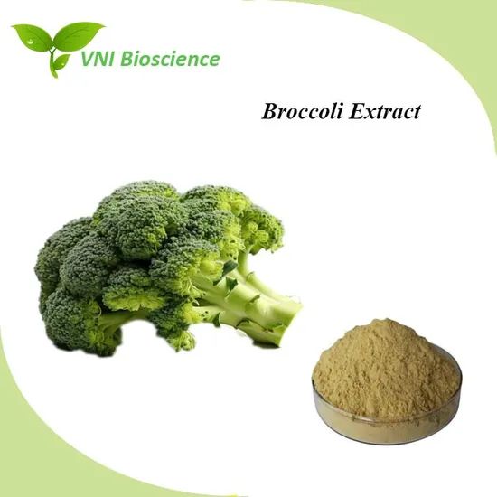 Manufacturer Supply Natural Broccoli Extract for Improve Immunity - Image 1