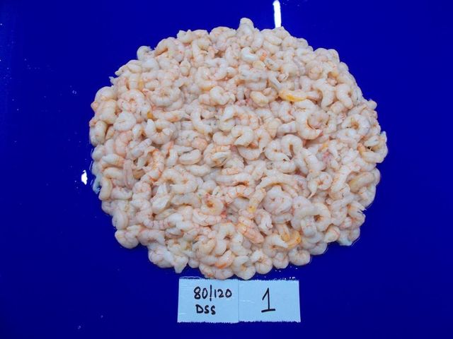 pud deep sea shrimp - Image 2