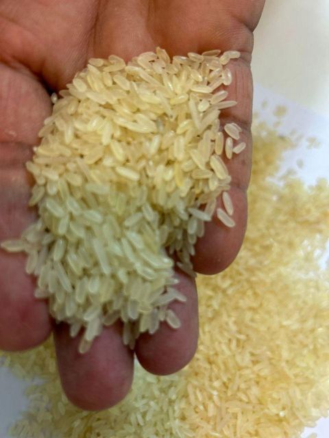 Exclusive 1121 Basmati Sella Rice Dried Als Parboiled Rice with Unique Processing Partially Boiled Husk Whatsap +255787979235 - Image 1