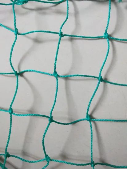 HDPE/Polyester/PP/Nylon Sport/Poultry/Fishing/Football Net - Image 3