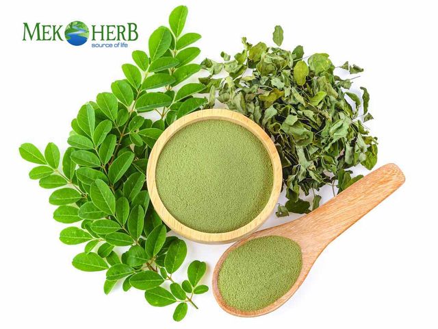 HERBAL MORINGA TEA BRAND MEKONG HERBALS FROM VIETNAM - Image 4
