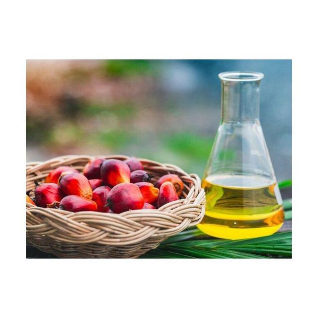 High Quality REFINED PALM OIL / PALM OIL - Olein CP10 CP8 CP6 For Cooking /Palm Kernel OIl CP10 - Image 2