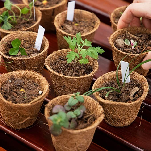Coconut Coir Pot - Eco-Friendly & Biodegradable - Image 4