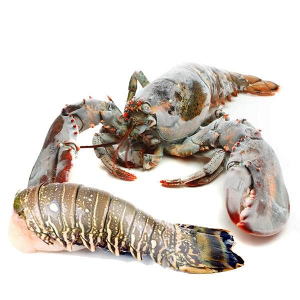 Frozen Crayfish Whole Seafood Product Featuring 100% Carefully Selected Catch For International Wholesale Buyers - Image 4