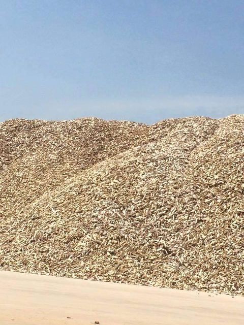 Dried Cassava Chips (Raw) Fiber Content ≤5% Starch Content ≥65% Moisture Content ≤14% Arsenic Level ≤1.0 Ppm Sand And Silica Content ≤3% - Image 1
