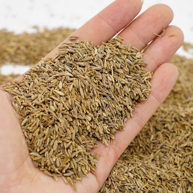 Cumin Seeds (Singapore Quality – 99% Purity) - Image 1
