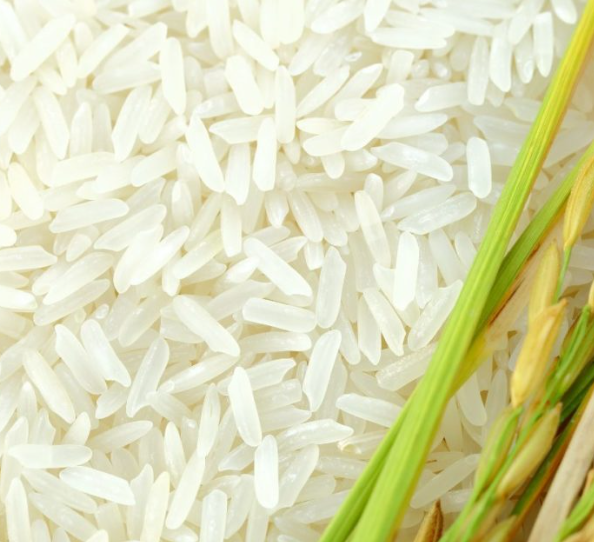 Factory direct Sella Basmati rice supplied in bulk for food markets and importers - Image 3