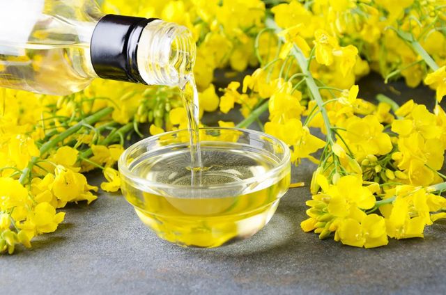 Vegetable Oil – Enhancing Product Lines with Trusted Ingredients - Image 3