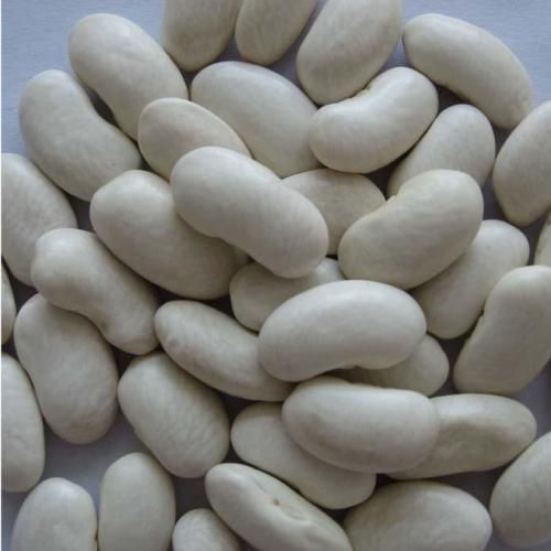 White Kidney Beans For Export for sale - Image 4