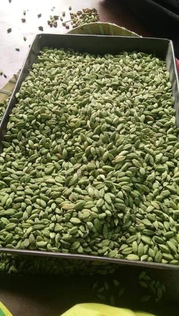 TOP QUAULITY GREEN CARDAMOM AT AFORDABLE PRICE. PLEASE WHATSAPP +255787979235/+255795279787 - Image 6