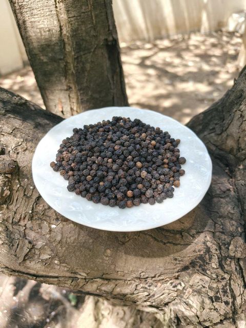 Black Pepper (Piper Nigrum) - Image 3