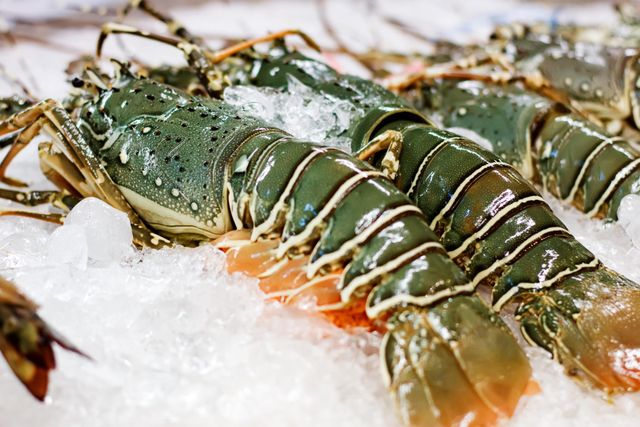 Competitive Price Live Lobster / Lobster Tails From Thailand Wholesale in Bulk for Export - Image 2