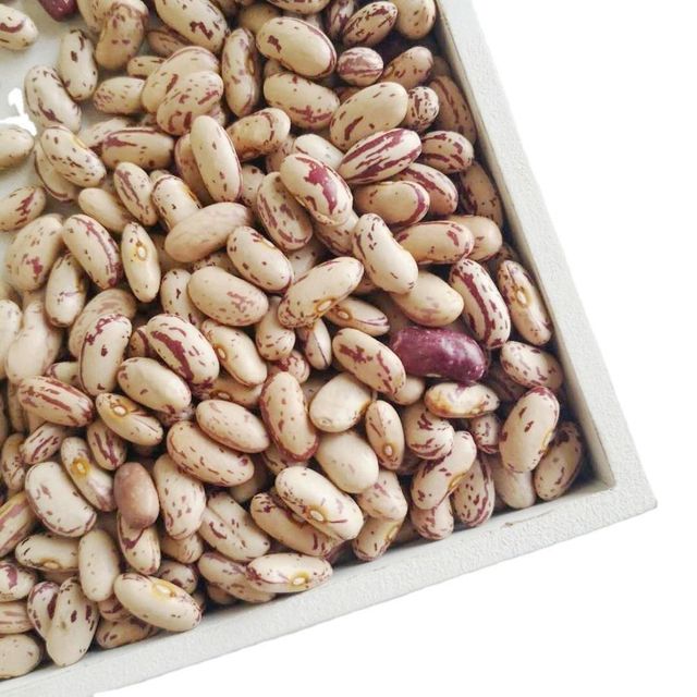 Natural Sugar Beans Dry Premium Edible Beans For Family Meals Restaurants Catering Services Food Stores - Image 3