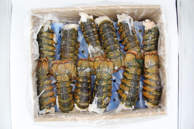 Natural Frozen Lobster Tail Wild Harvest Seafood Premium Quality Rich Taste Perfect For Elegant Family Meals - Image 3