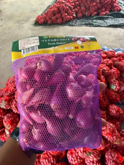 Fresh Shallot Grade A Flavor Rich Texture Firm Port HO Chi Minh Aroma Exceptional Freshness Exceptional Packaging net bag 500gr - Image 4