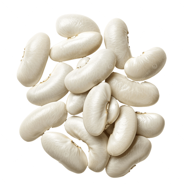 Best Organic White Kidney Beans Large Size Freeze-Dried 25kg Vacuum Pack New Crop Promotion - Image 1