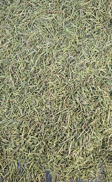 Rosemary Leaves - Image 1