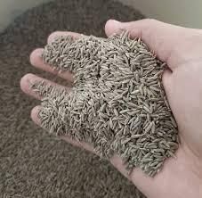Cumin Seed Singapore 99 - Image 1
