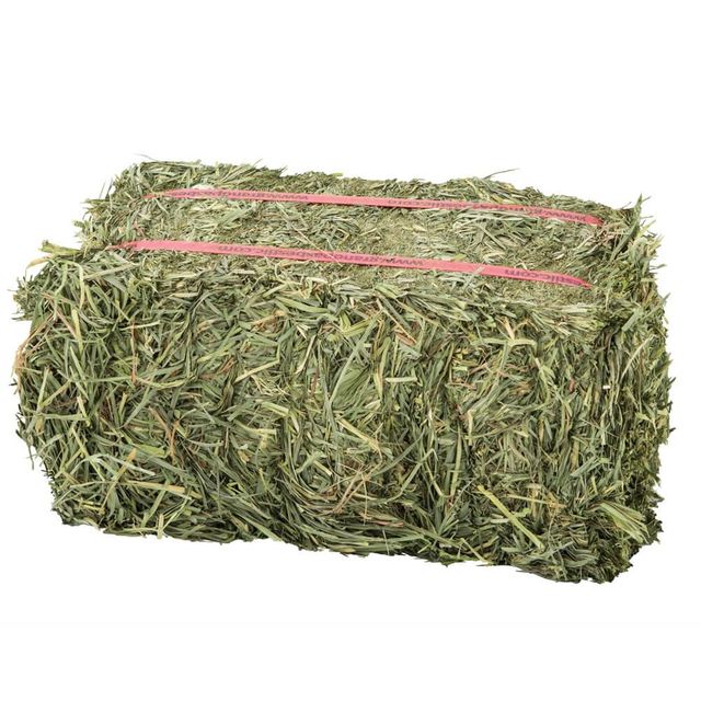 Nutrient Rich Alfalfa Hay For Animal Feeding Delivering Balanced Protein Fiber And Energy Content - Image 1