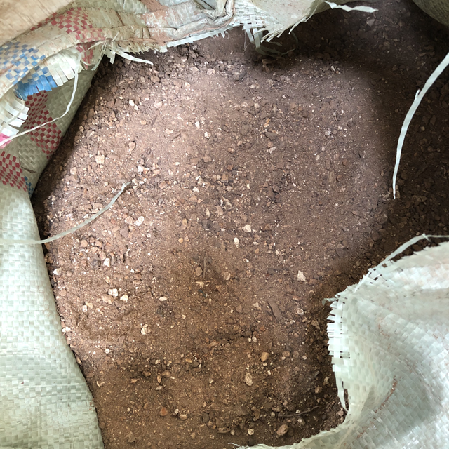 Damar Dammar Gum Resin Rock Powder From Sumatera Indonesia Type Natural Delivery Form Bag, Big Bags, Other, Sacks - Image 3