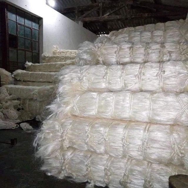 Factory Supplier of Grade A UG Sisal Fiber Tows Contact for More Details Discount Wholesale Sisal Fiber Materials 100% Natural Sisal Fiber Factory Supply Raw Sisal Fiber for ship - Image 4