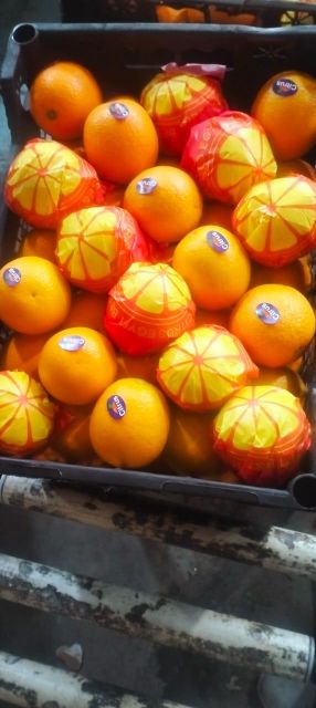 Egyptian Delicious Oranges - Image 3