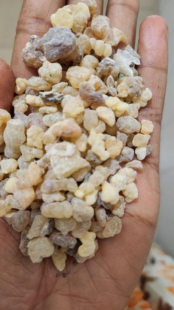 Ethiopian Olibanum gum Form Resin Material Other Origin Ethiopia Source Ethiopia And Africa's Rich Flora Application Natural Resins And Oils In Agriculture, Food, And Beverage - Image 1