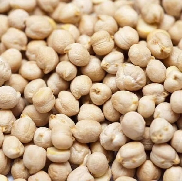 Raw Chickpeas High Quality Chickpeas With Even Shape And Color For Large Scale Processing And Food Production - Image 4
