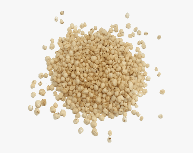 WHITE GRAIN SORGHIUM - Image 3