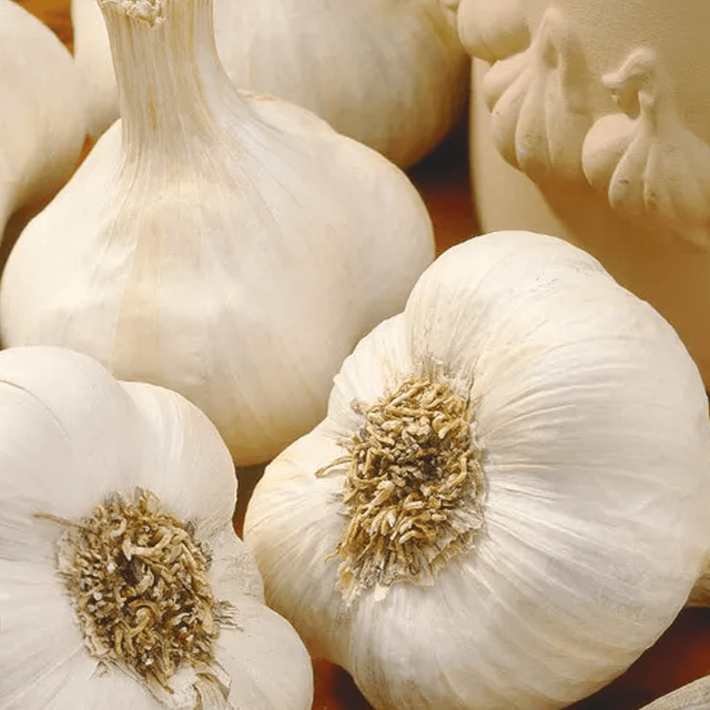 High Quality Fresh Organic White Garlic with Competitive Price 2 Year Shelf Life Food Ingredients at Origin - Image 3