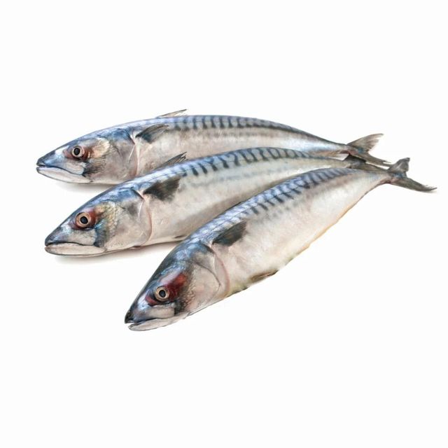 Marine Harvest Export Range Featuring Frozen Whole Horse Mackerel With Controlled Temperature Storage - Image 4