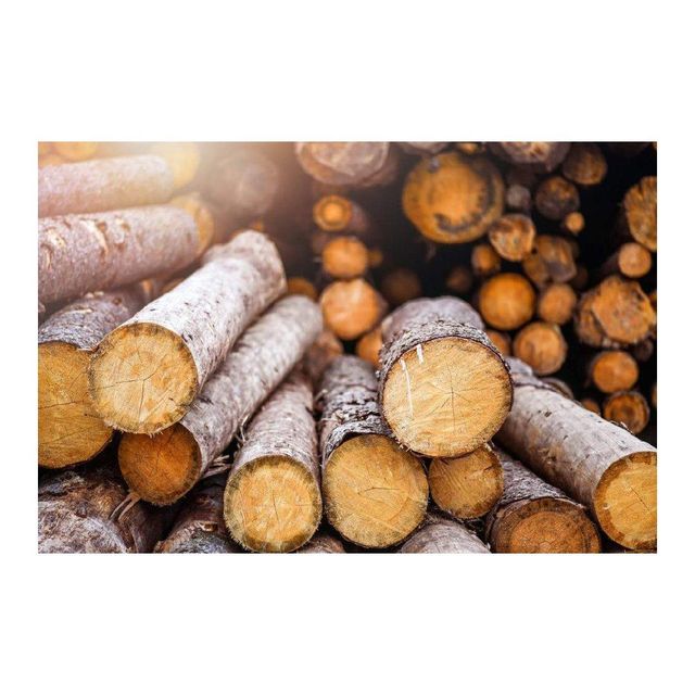 Timber wood bulk supply wholesale price high quality stock fast shipment available - Image 3