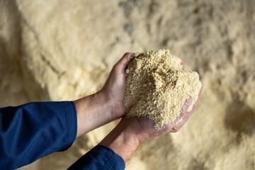 Wholesale Supplier Of Premium Organic Soya Beans in Bulk Grade A Packaging Bulk Purity 100% Organic, Non-gmo Form Dried Or Unhulled Beans, Whole - Image 5