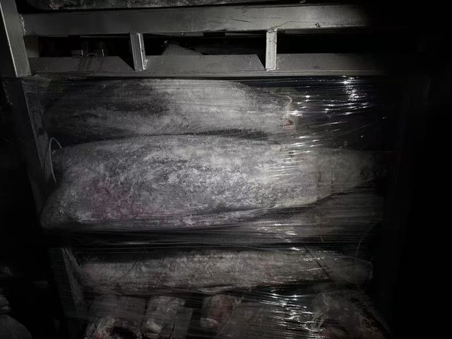 Frozen Oilfish hgt - Image 1