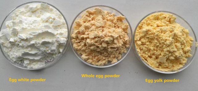 Global Supplier of Refined Egg Albumen Powder and Yolk Powder – Food Grade Spray Dried Egg Products for Industrial Baking, Nutritional Supplements, Sauces, Dairy Alternatives, and Large Scale Food Processing with Bulk Export Packaging and Reliable International Shipping - Image 3