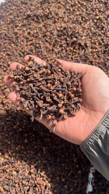 CLOVES Max. Moisture (%) ≤ 12% Grade AB6 Lalpari Cloves Place of Origin - Image 3