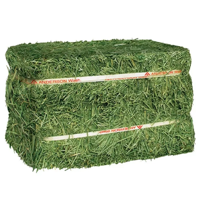 Premium 18% Protein Alfalfa Hay For Livestock Feed High Energy Green Alfalfa Hay For Horses And Dairy Farms Bulk Orders - Image 4