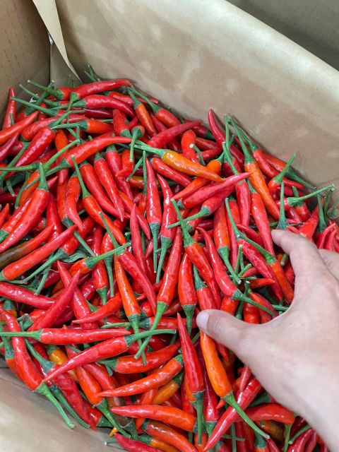 Red hot chili peppers from Vietnam, size 3–7 cm. - Image 2