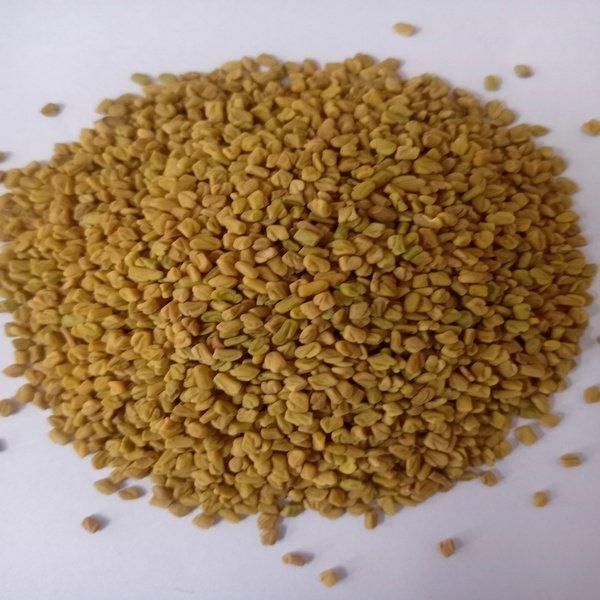 High Quality Fenugreek Seeds Wholesale Supply – Carefully Processed, Naturally Dried, and Rich in Flavor Spice Product Ideal for Cooking, Herbal Medicine, Food Manufacturing, and Nutritional Supplement Industries, Delivered in Bulk Quantities with Strict Quality Assurance, Reliable Packaging Solutions, and Stable International Export Standards for Consistent Business Supply ensuring freshness and traceability - Image 3