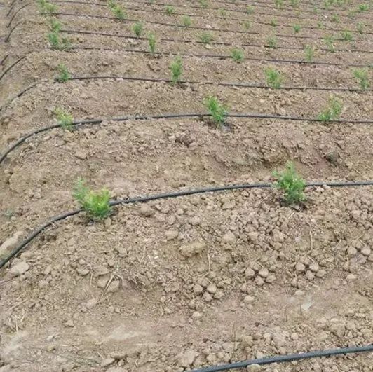 Watering Irrigation Pipe Farm System - Image 6