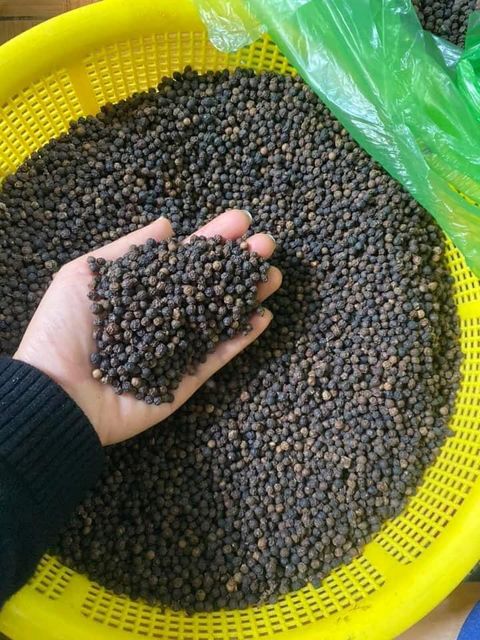 Black Pepper - Image 1