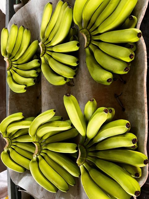 Fresh cavendish Banana - Image 3
