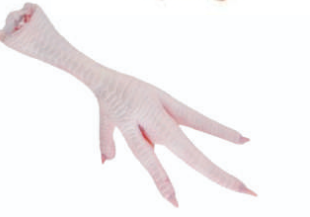 Best Quality Grade A Frozen Chicken Feet Cut feet Origin Brazil Meat Type Chicken Features GACC, SIF Texture Rich In Collagen - Image 2
