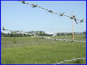 Galvanized Barbed Wire Razor Barbed Wire Fence Iron Barbed Wire - Image 4