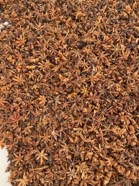 star anise - Image 3