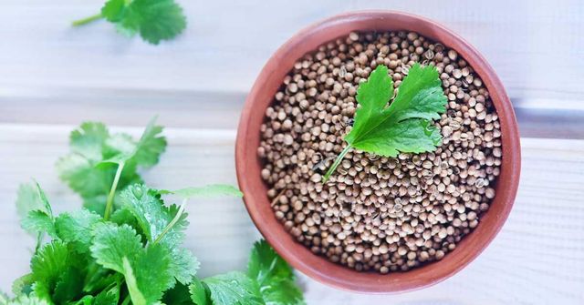 Coriander Form Ground Delivery Form Bag Freshness Level Dried, Fresh Features No Preservatives, Organic, Without Additives, Without Colourants, Without Flavor Enhancers - Image 4