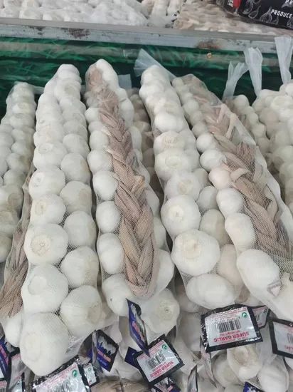 China New Big Size Braid Fresh Pure White Garlic Style Whole Origin China HS Code 070320 Type Pure White Trademark Green - Image 3
