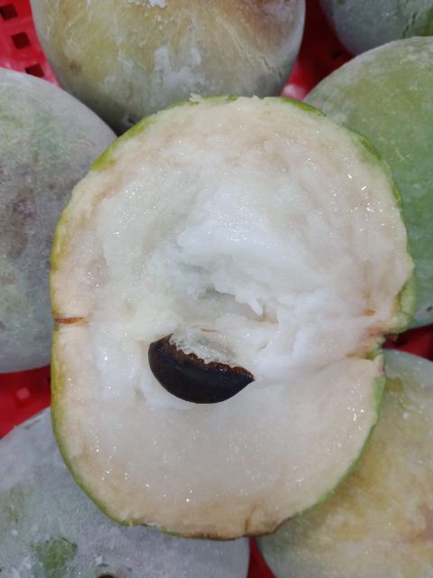 100% Natural Mature Star Apple Organic Fresh Fruit in Carton Box 8 Days Shelf Life Agriculture Products - Image 5