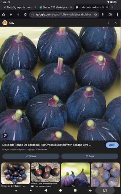 Agriculture, Food & Beverage - Image 1