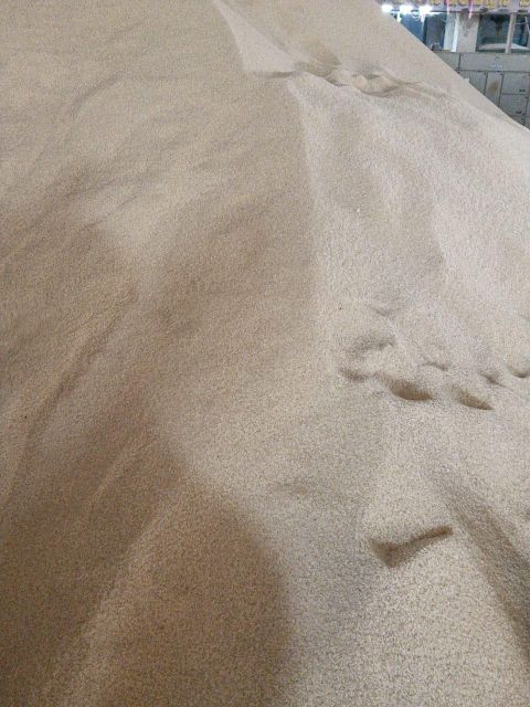 IR 64 Paraboiled rice and raw rice - Image 4